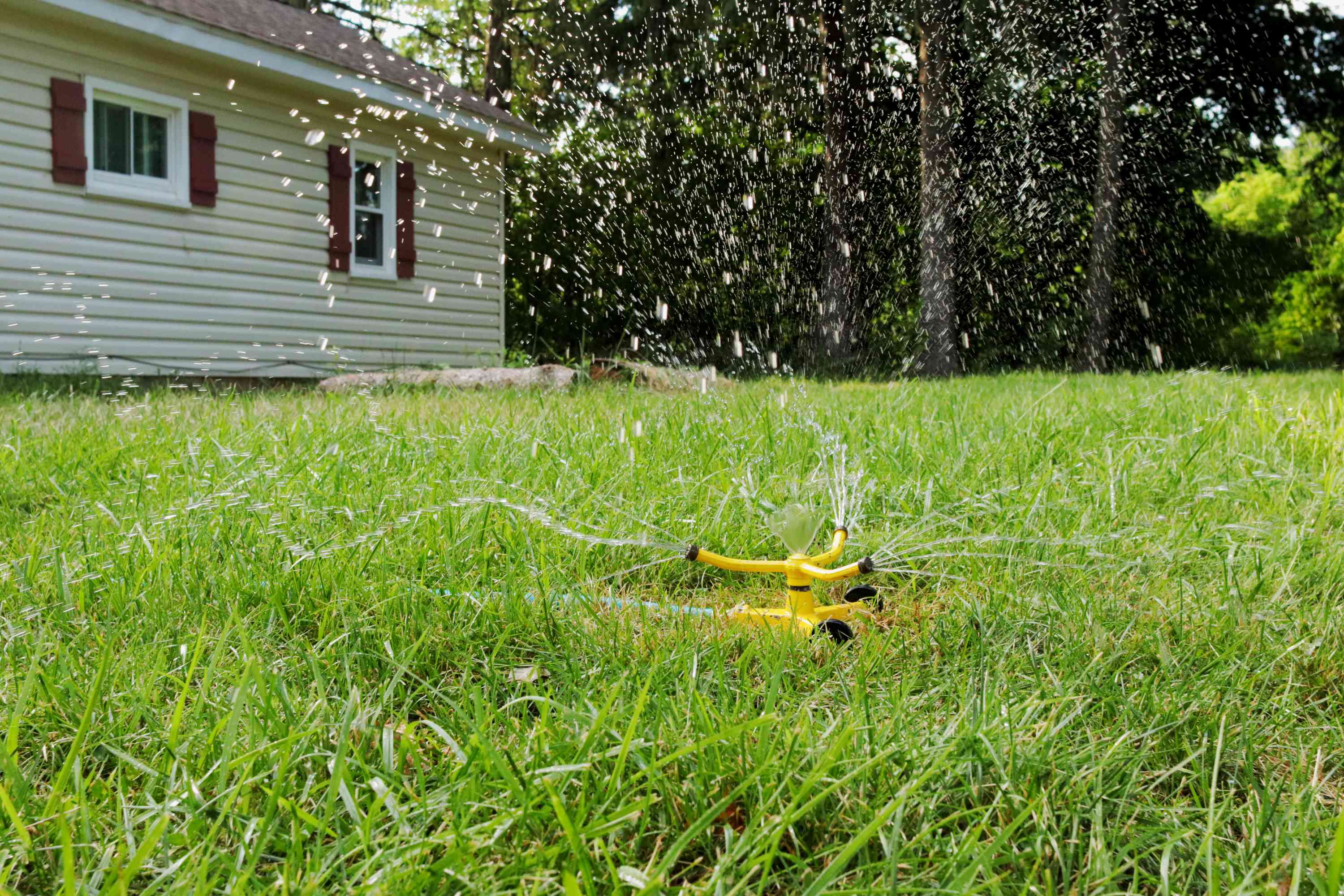 Lawn maintenance process including mowing and watering grass in a residential yard