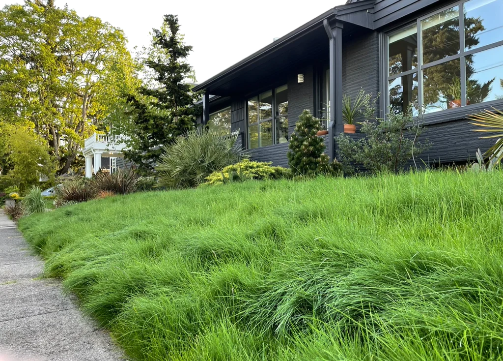 Clean and well-maintained residential lawn in Deltona Florida