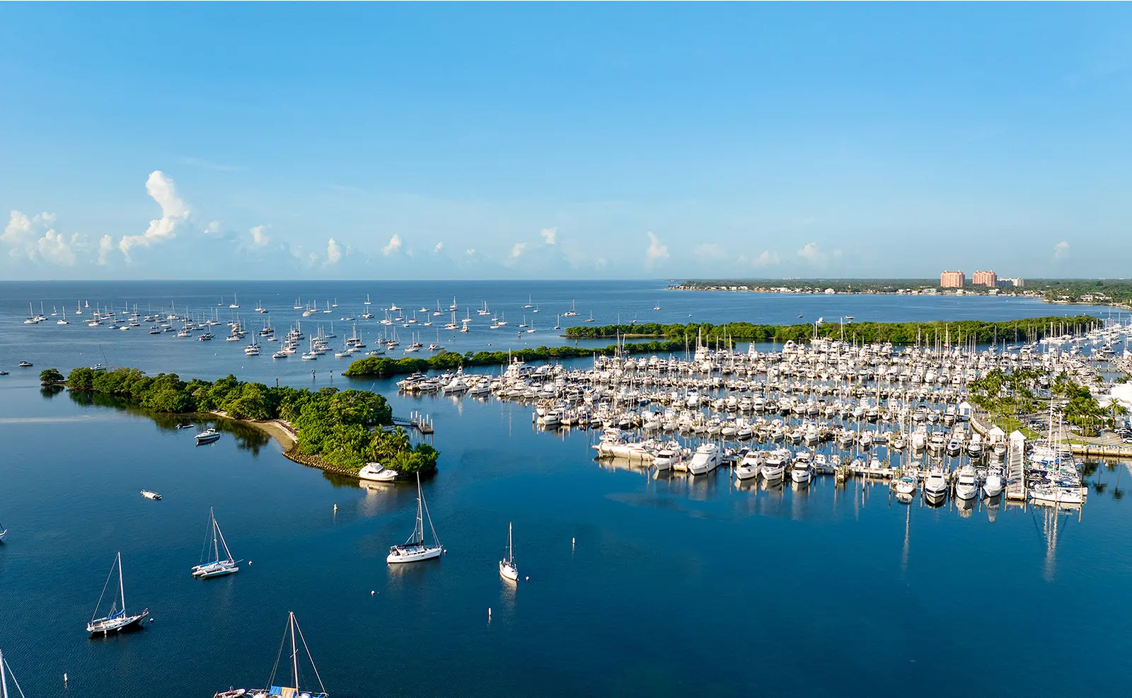 Aerial view of Coconut Grove with tree canopy and the bay