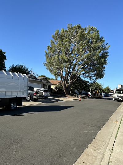 {{ custom_values.service_4 }} in {{custom_values.area_3})