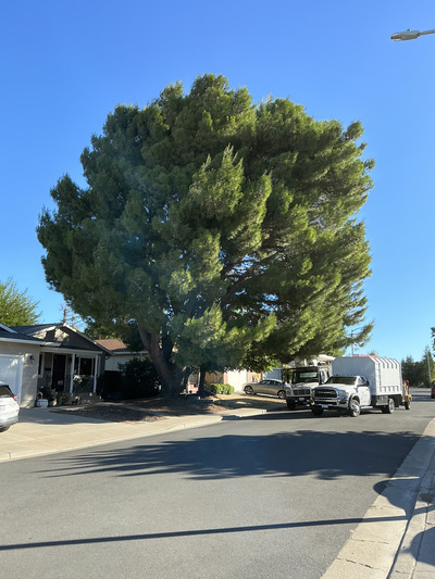 {{ custom_values.service_3 }} in {{custom_values.area_3})