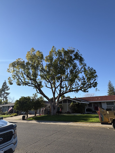 {{ custom_values.service_1 }} in {{custom_values.area_3})