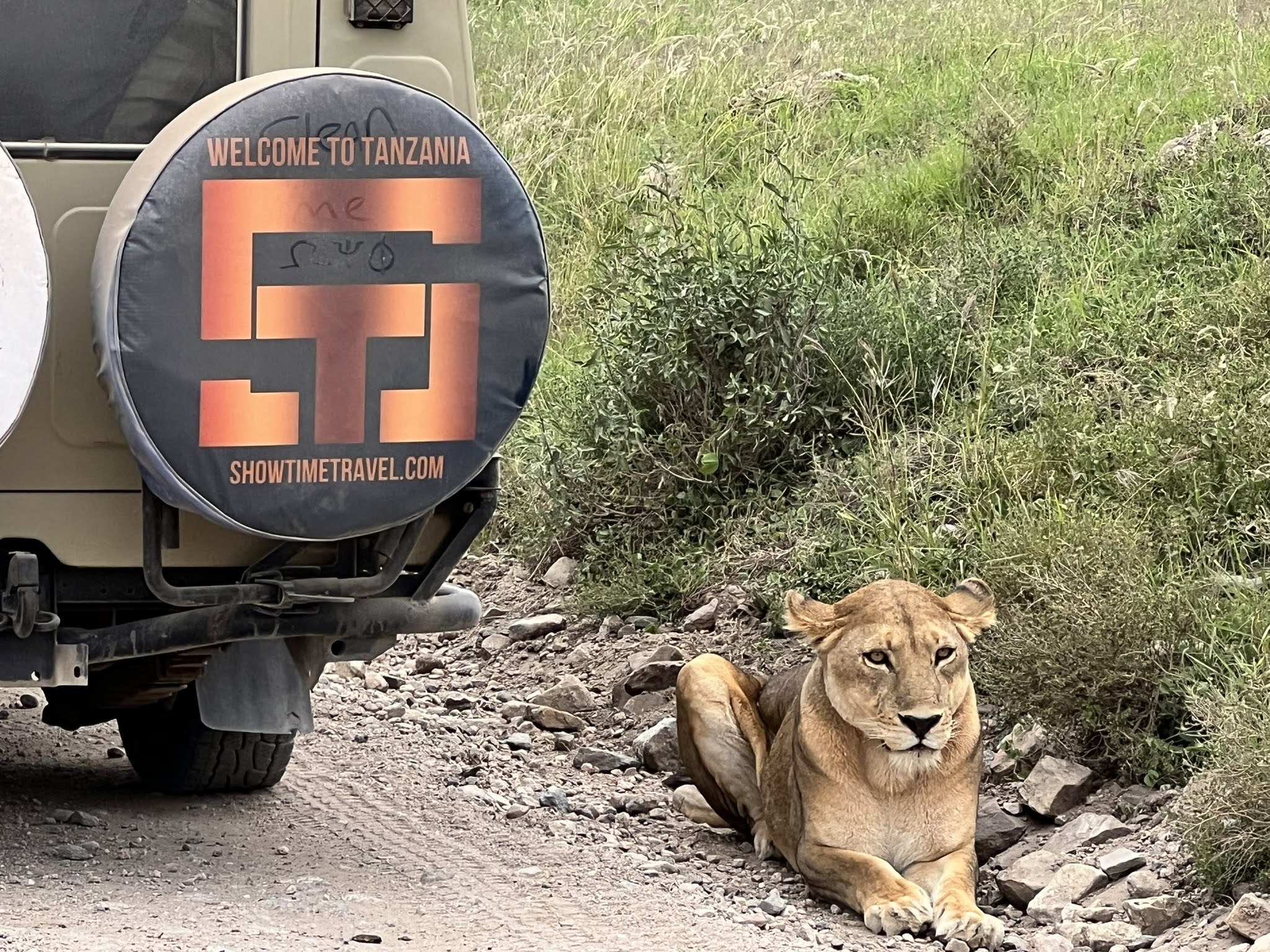 African Safari