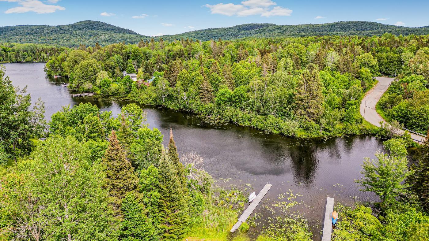 Vue aérienne d’une rivière sinueuse et de la forêt