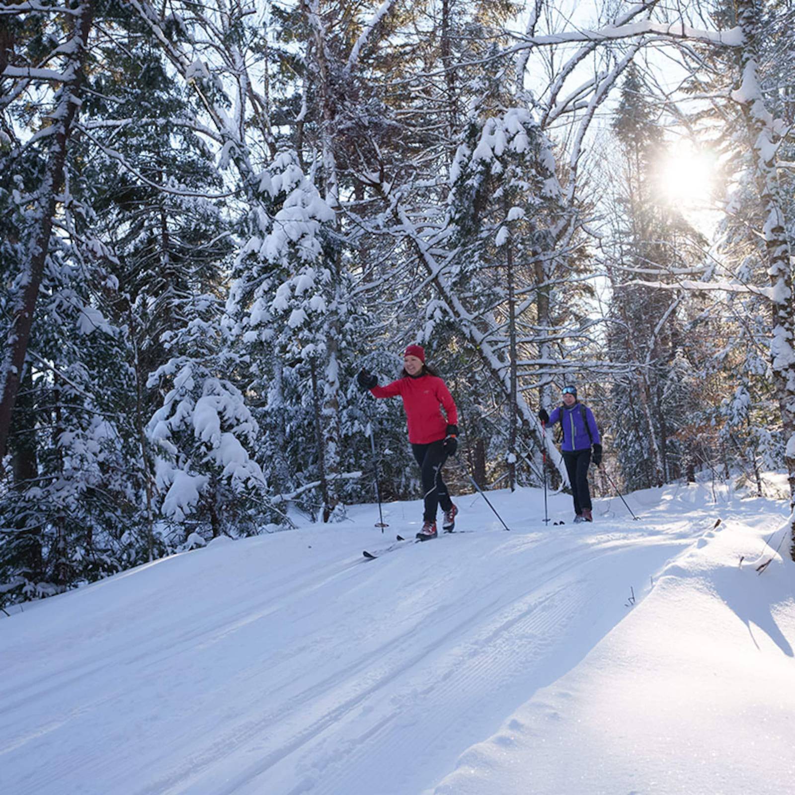 Ski de fond sur un sentier enneigé en forêt