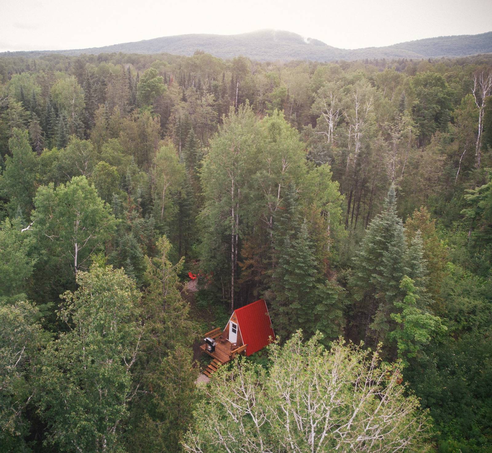 Le chalet en A niché dans la forêt, The Last Resort