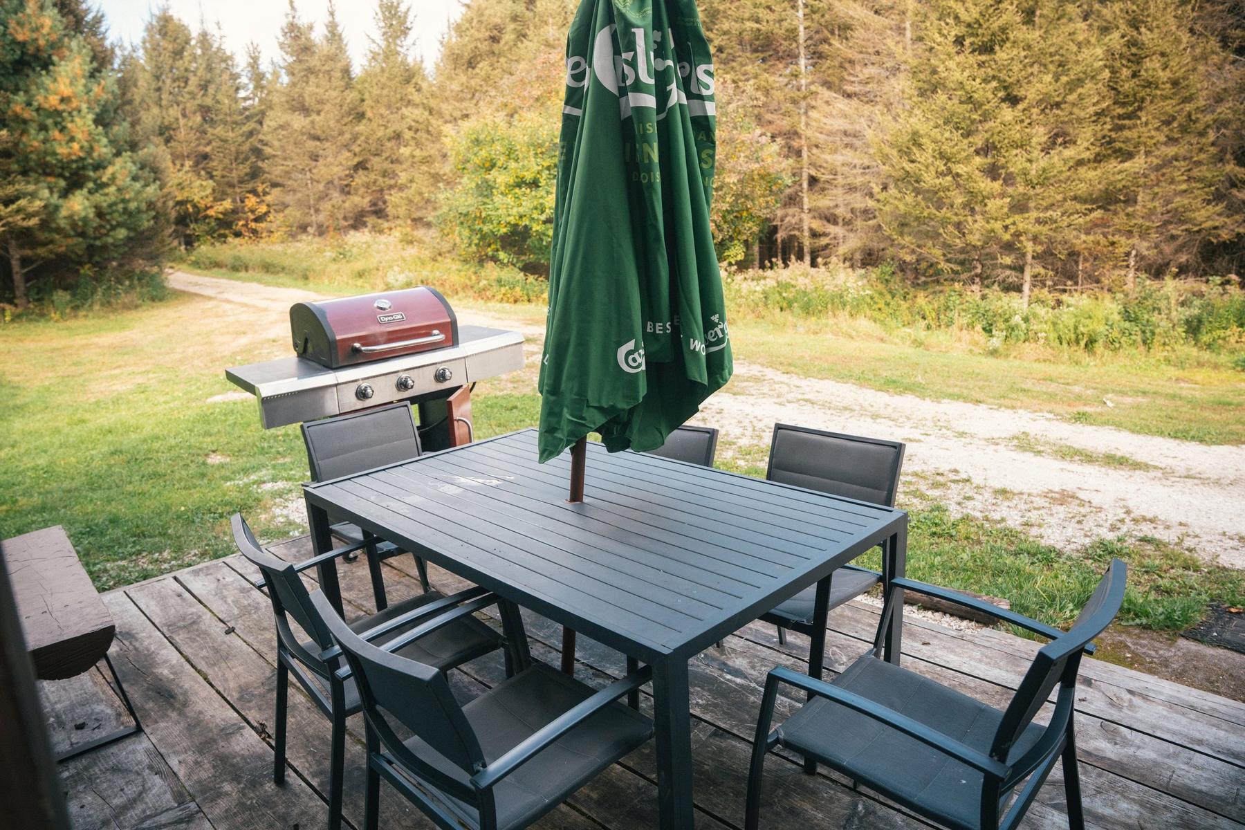 Repas sur le patio sous les arbres, The Boar's Nest