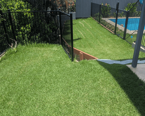 Turf Installation in Manly Area