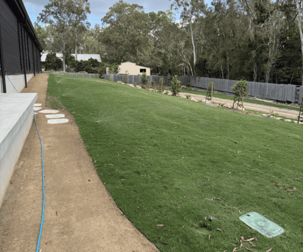  Manly Area