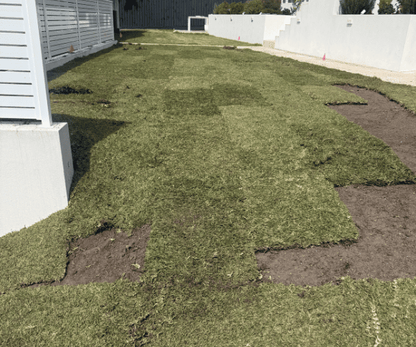 Irrigation Services