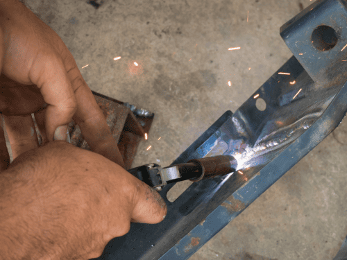 Willis Tree Removal