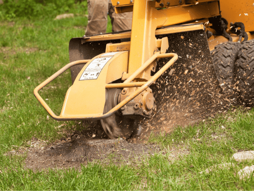 Landscaping Design in Magnolia