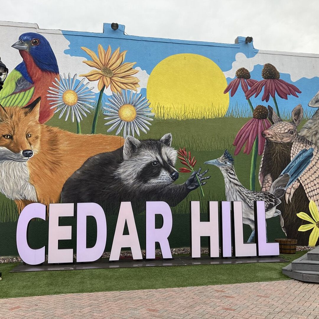 Cedar Hill, TX
