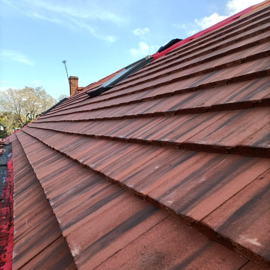 Recent roof project