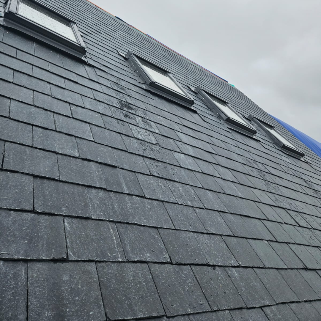 Recent roof project