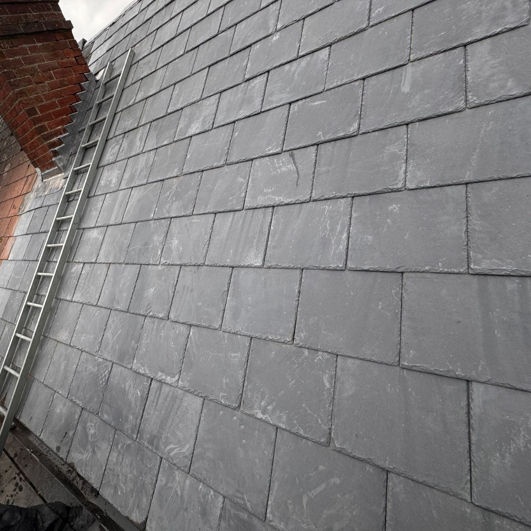Recent roof project