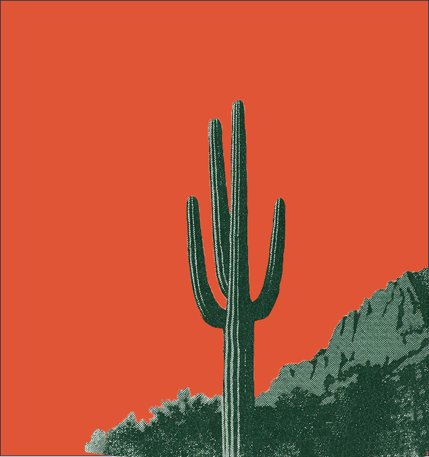 Arizona Real Estate Law
