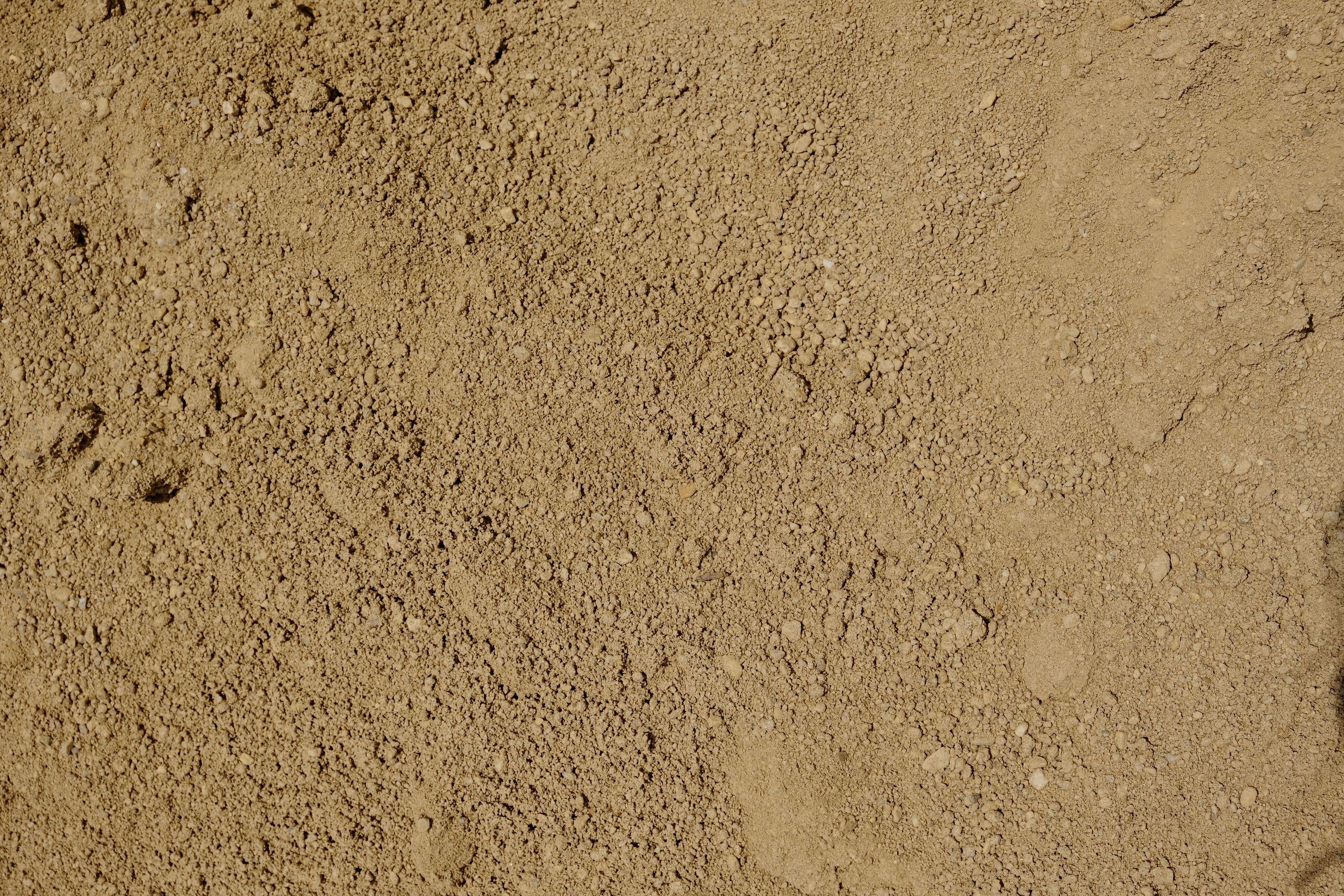 horse arena sand