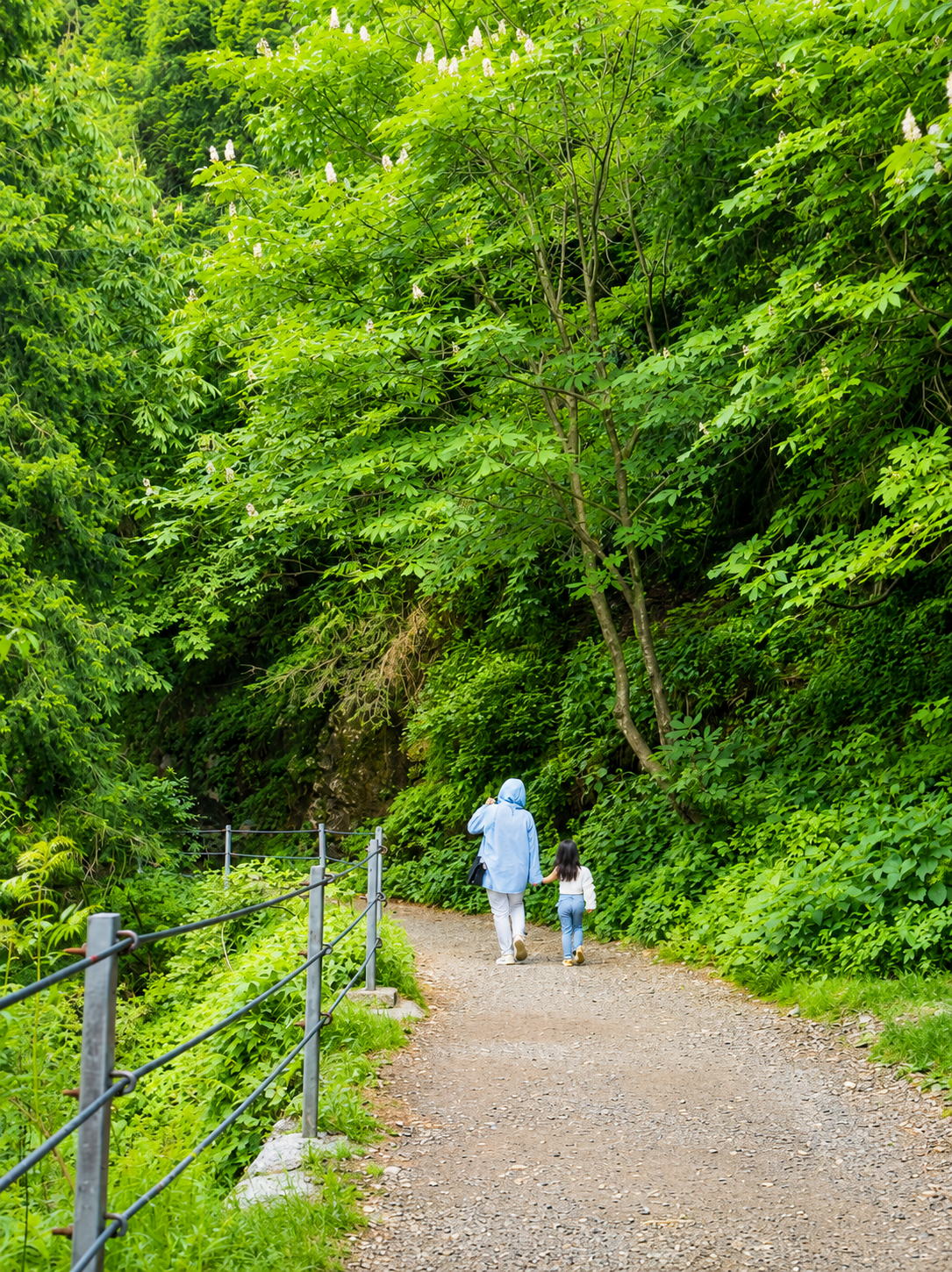 Pipeline Trail