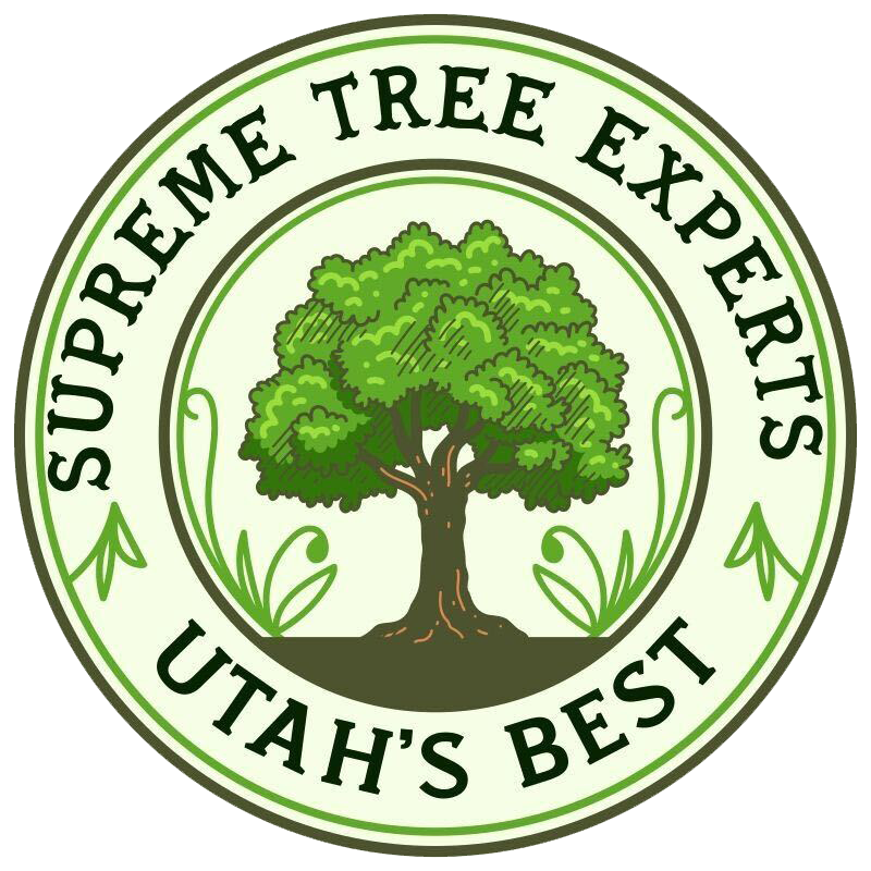 Supreme Tree Experts