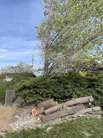 Gallery Image 12