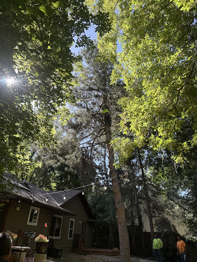 Gallery Image 13