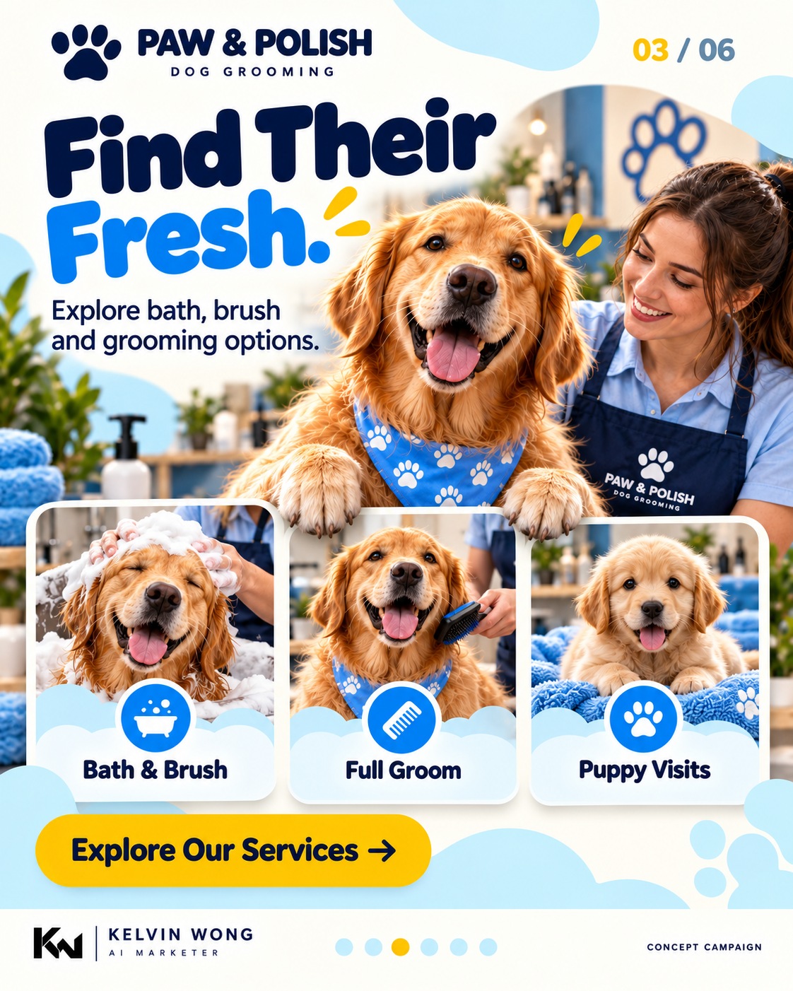 Dog Grooming, Carousels