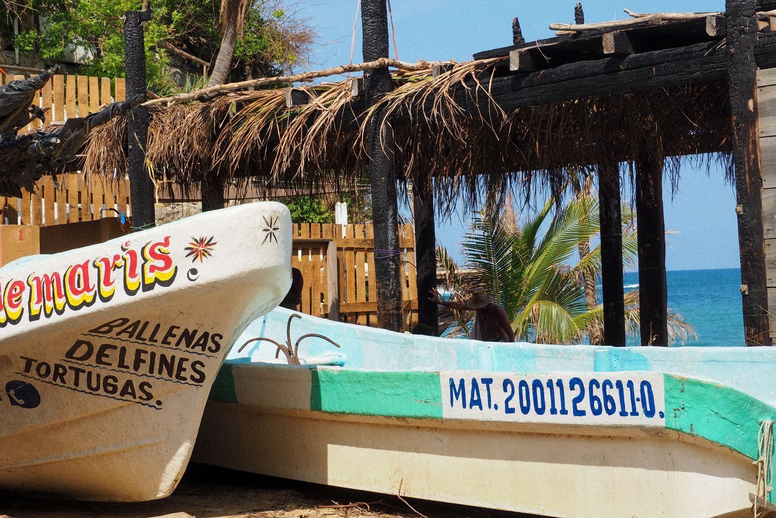 Painted fishing and tour lanchas beached beside a palm-roofed hut on the Oaxaca coast Painted fishing and tour lanchas beached beside a palm-roofed hut on the Oaxaca coast