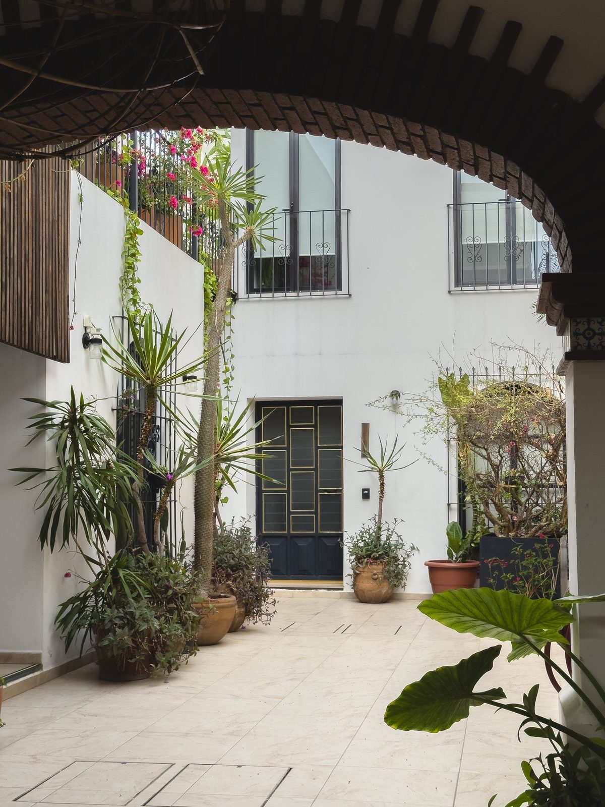 A white colonial courtyard full of potted plants in Oaxaca City