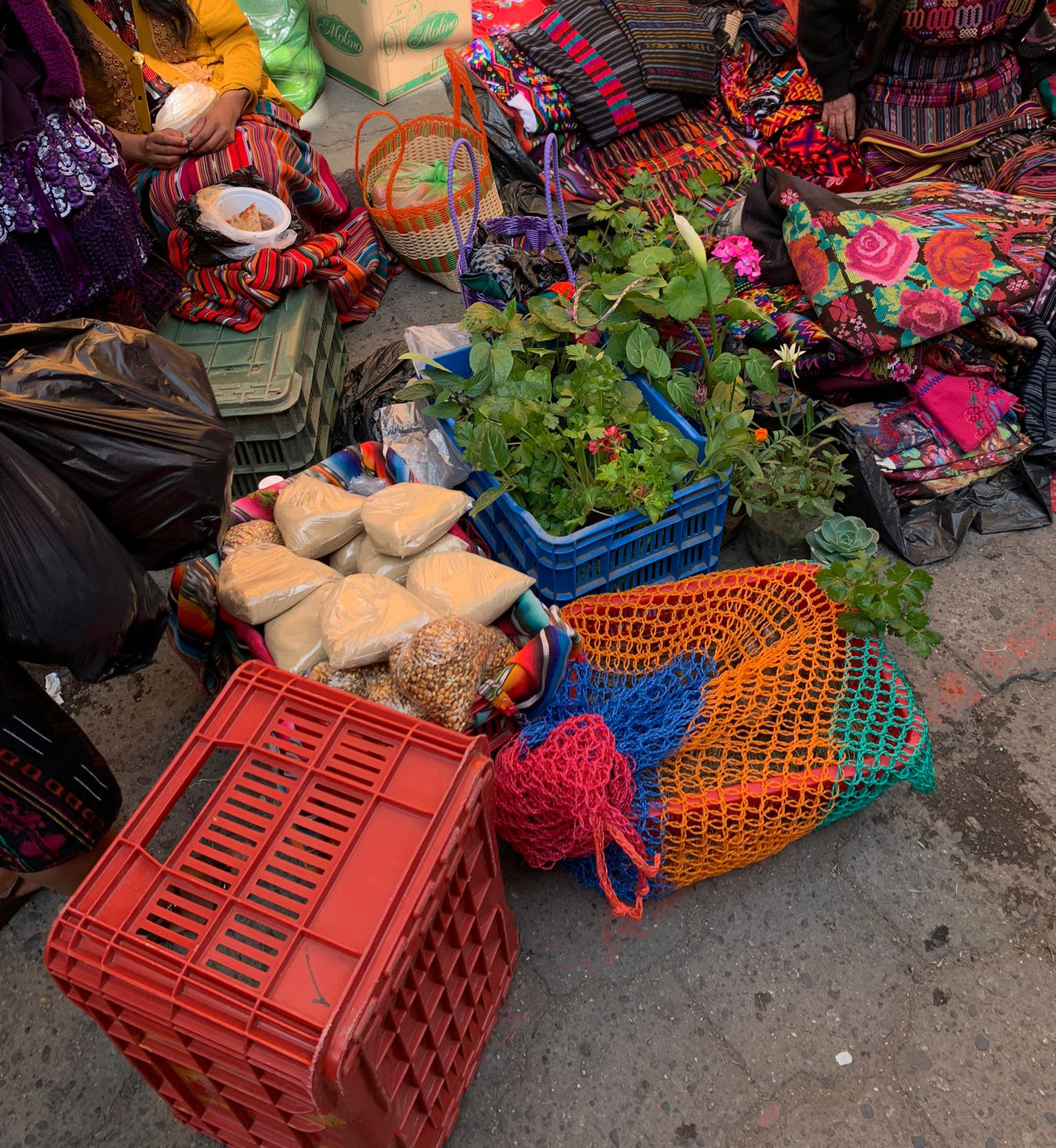 fruits and vegetables being sold at the municipal market in san cristobal de las casas chiapas
