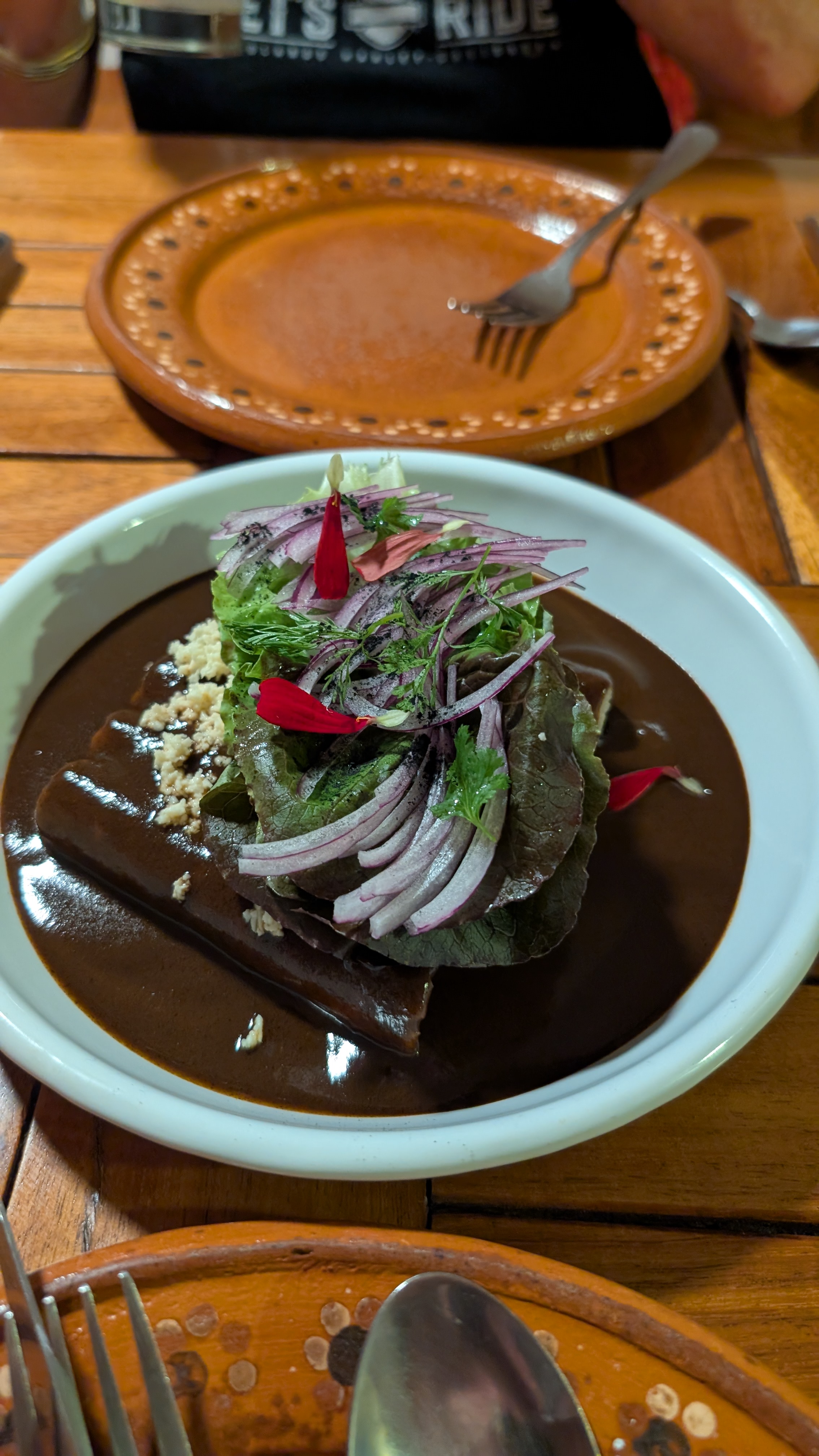 plate of mole enchiladas at restaurant in valladolid mexico plate of mole enchiladas at restaurant in valladolid mexico