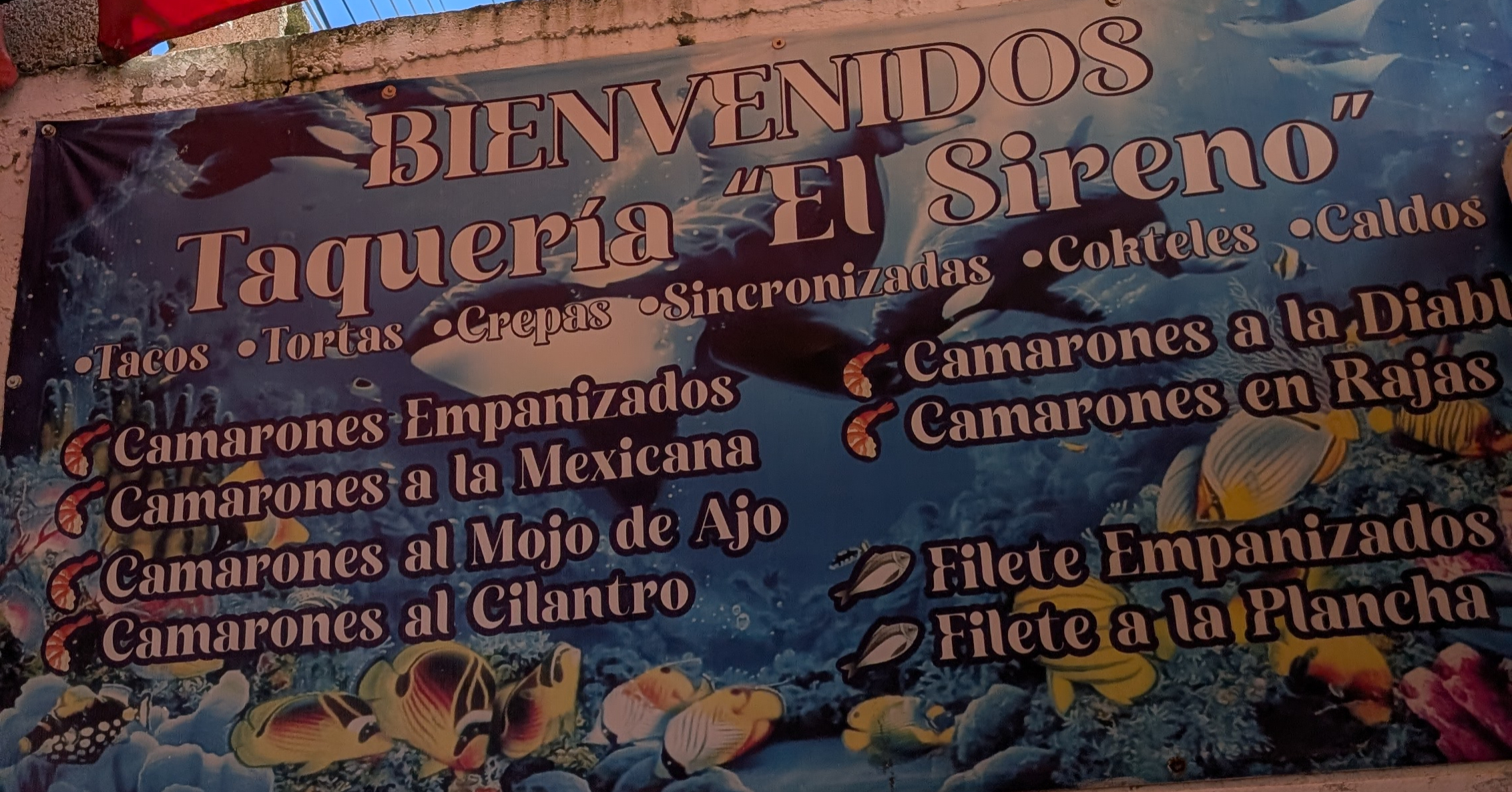 menu for el sireno taqueria in valladolid mexico menu for el sireno taqueria in valladolid mexico