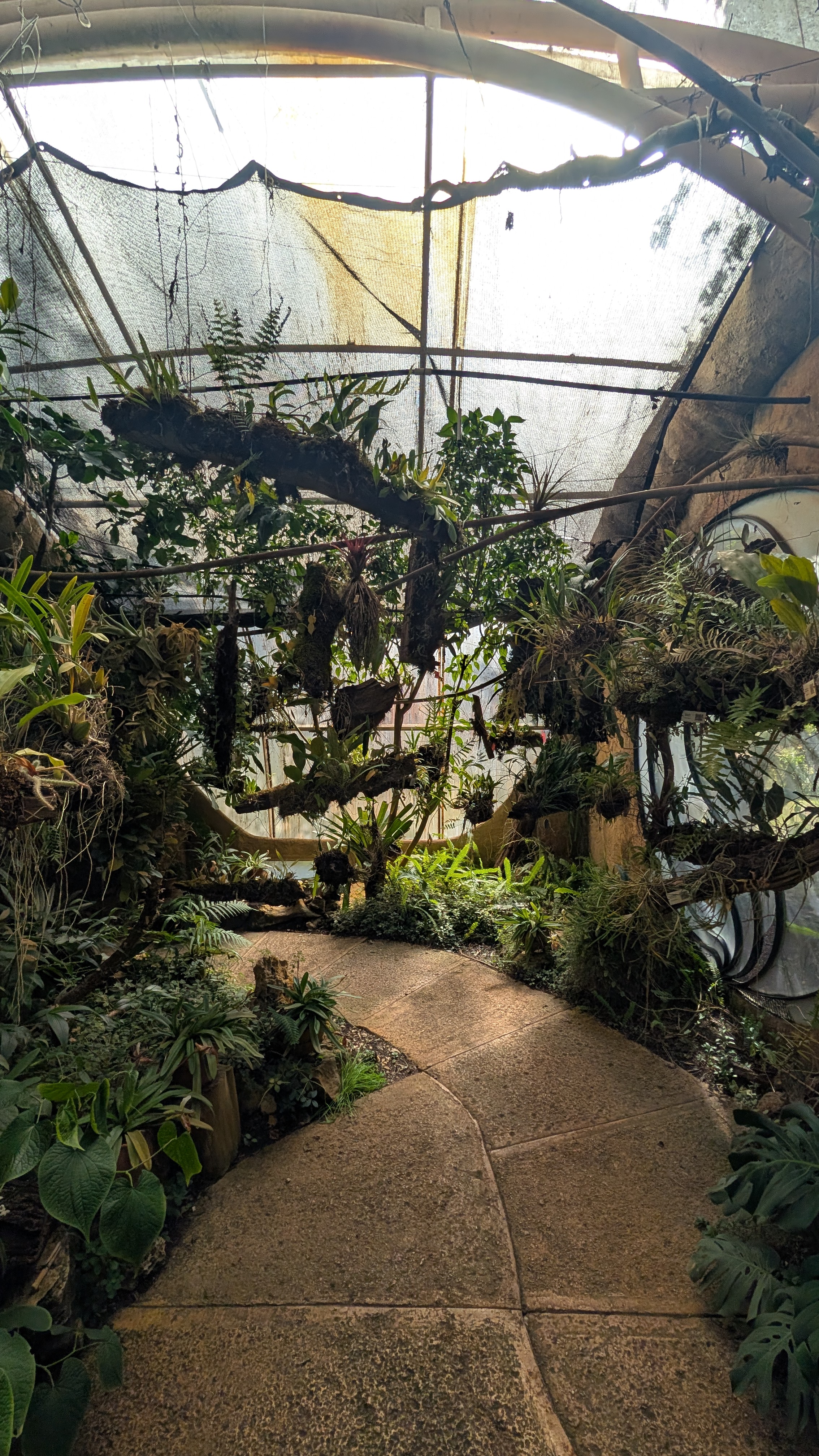 picture of the greenhouse at Reserva Ecológica y Jardín de Orquídeas Moxviquil