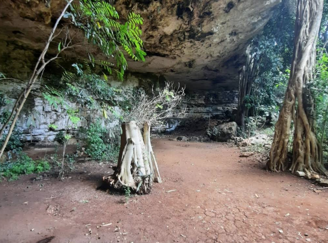 dry cenote at xkopek beekeeping park in valladolid mexico