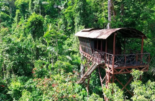 Elevated treehouse bungalow at Boca de Agua near Bacalar, Mexico