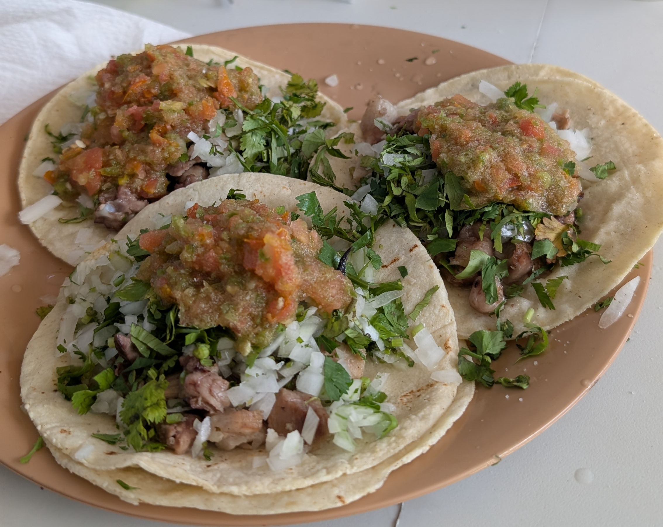 Family-run taco stand Taquería Meza near the ADO bus station in Palenque
