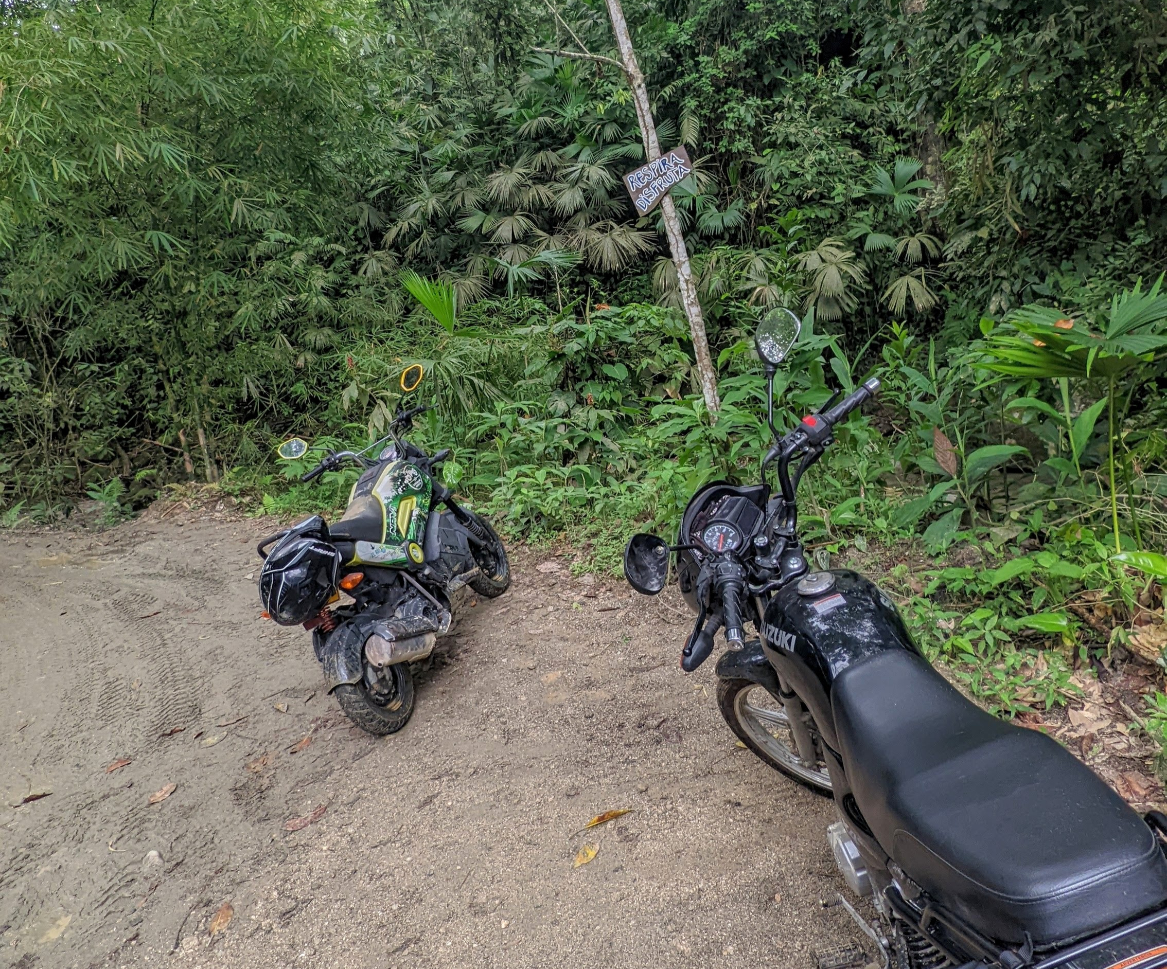 Riding an unpaved jungle backroad on the outskirts of Palenque, Mexico.