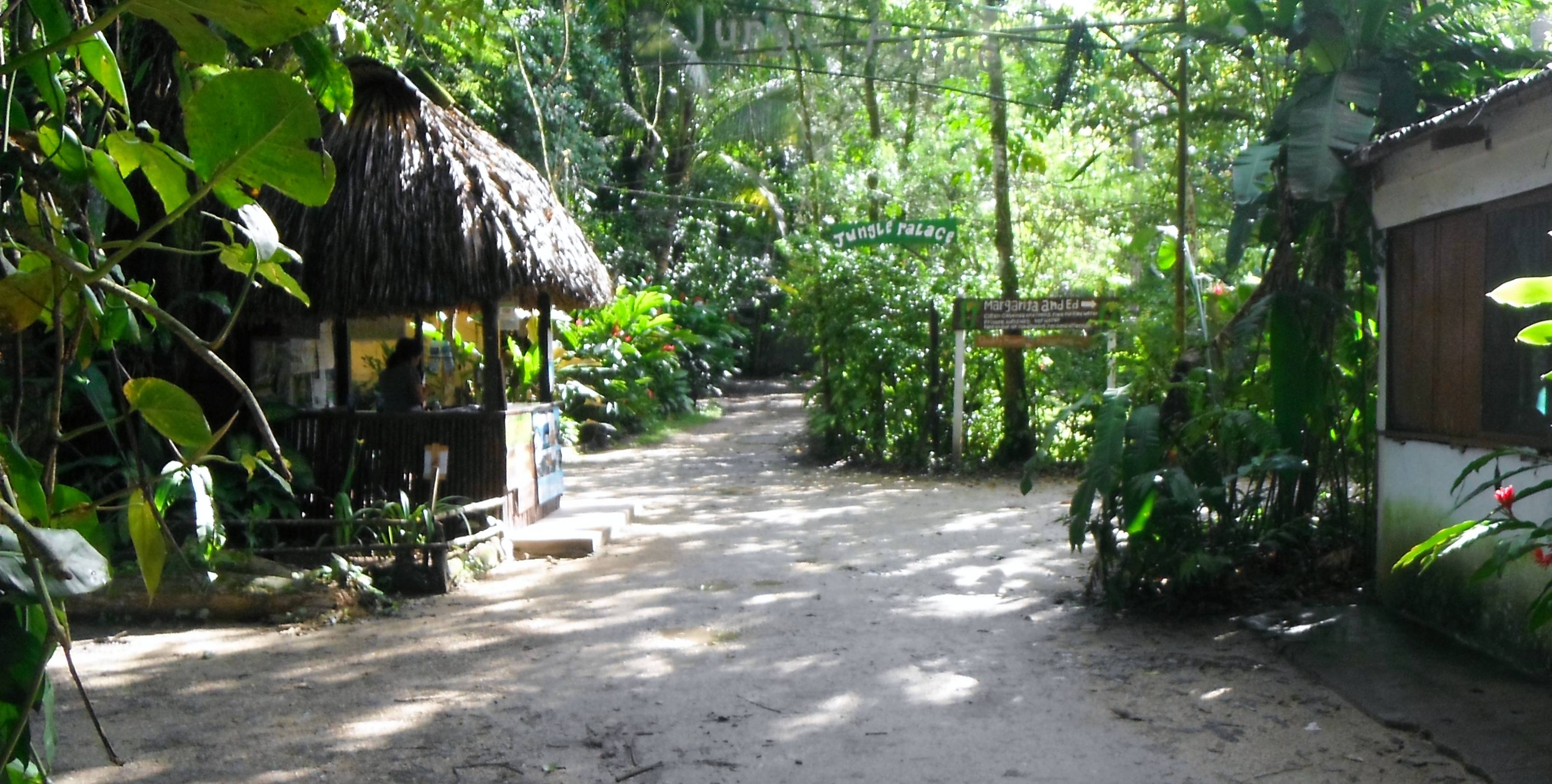 Jungle cabin lodging on the outskirts of Palenque, Mexico.