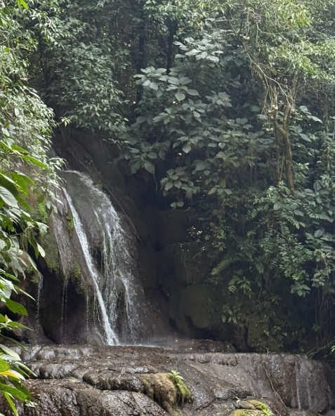 the Baño de la Reina cascades on the Otulum stream along the jungle path out of Palenque