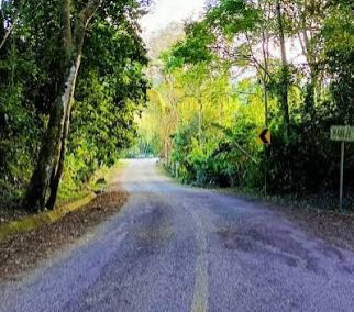 highway 199 that leads to agua azul near palenque