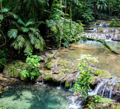 waterfalls called the queens bath near palenque ruins along the jungle path
