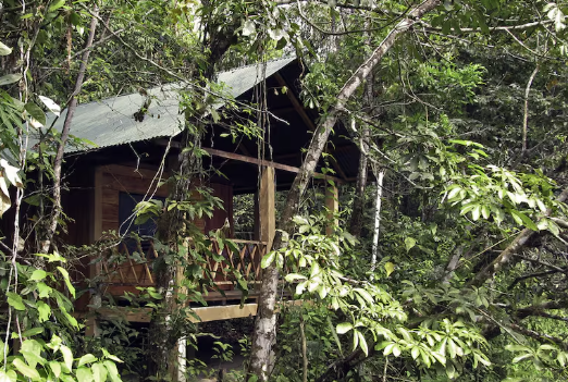 wooden cabin on the river lacanja in chiapas