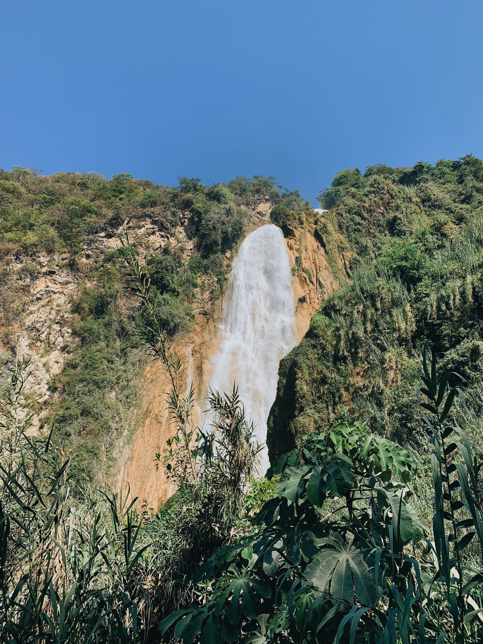 Low green-water cascades stepping through thick Lacandón jungle, the deep-forest setting of Cascadas Las Golondrinas near Nueva Palestina Low green-water cascades stepping through thick Lacandón jungle, the deep-forest setting of Cascadas Las Golondrinas near Nueva Palestina