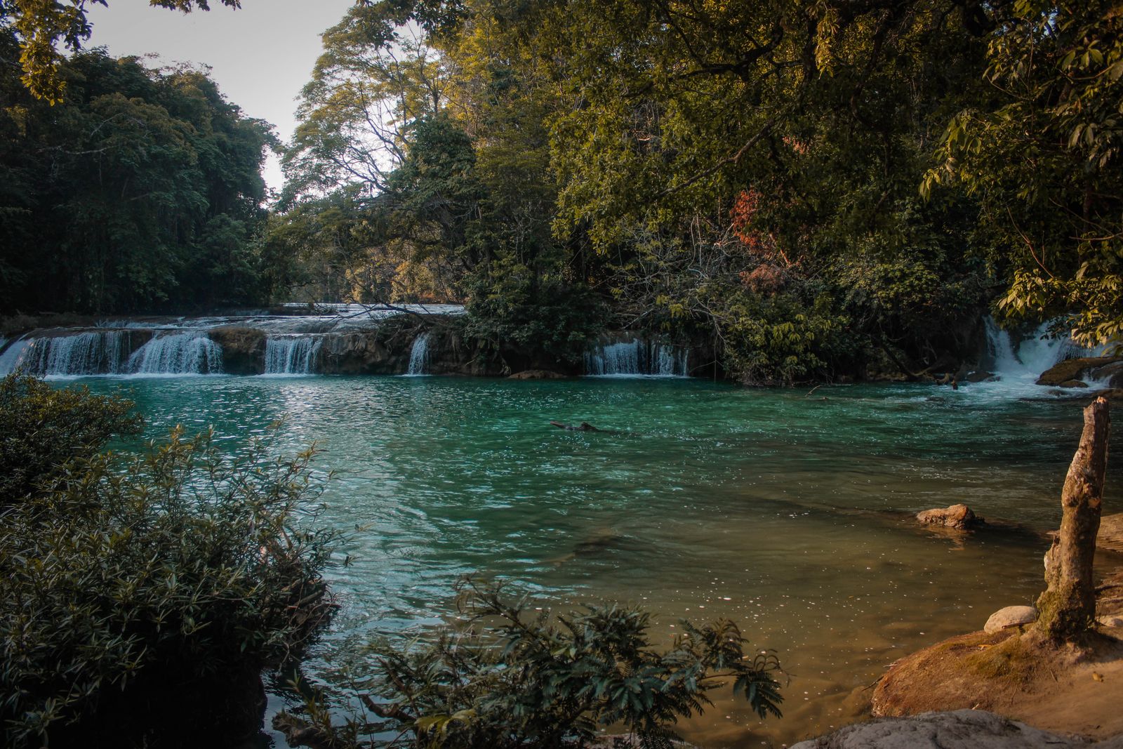Low travertine cascades and a wide green swimming pool ringed by jungle, the Roberto Barrios style of waterfall Low travertine cascades and a wide green swimming pool ringed by jungle, the Roberto Barrios style of waterfall