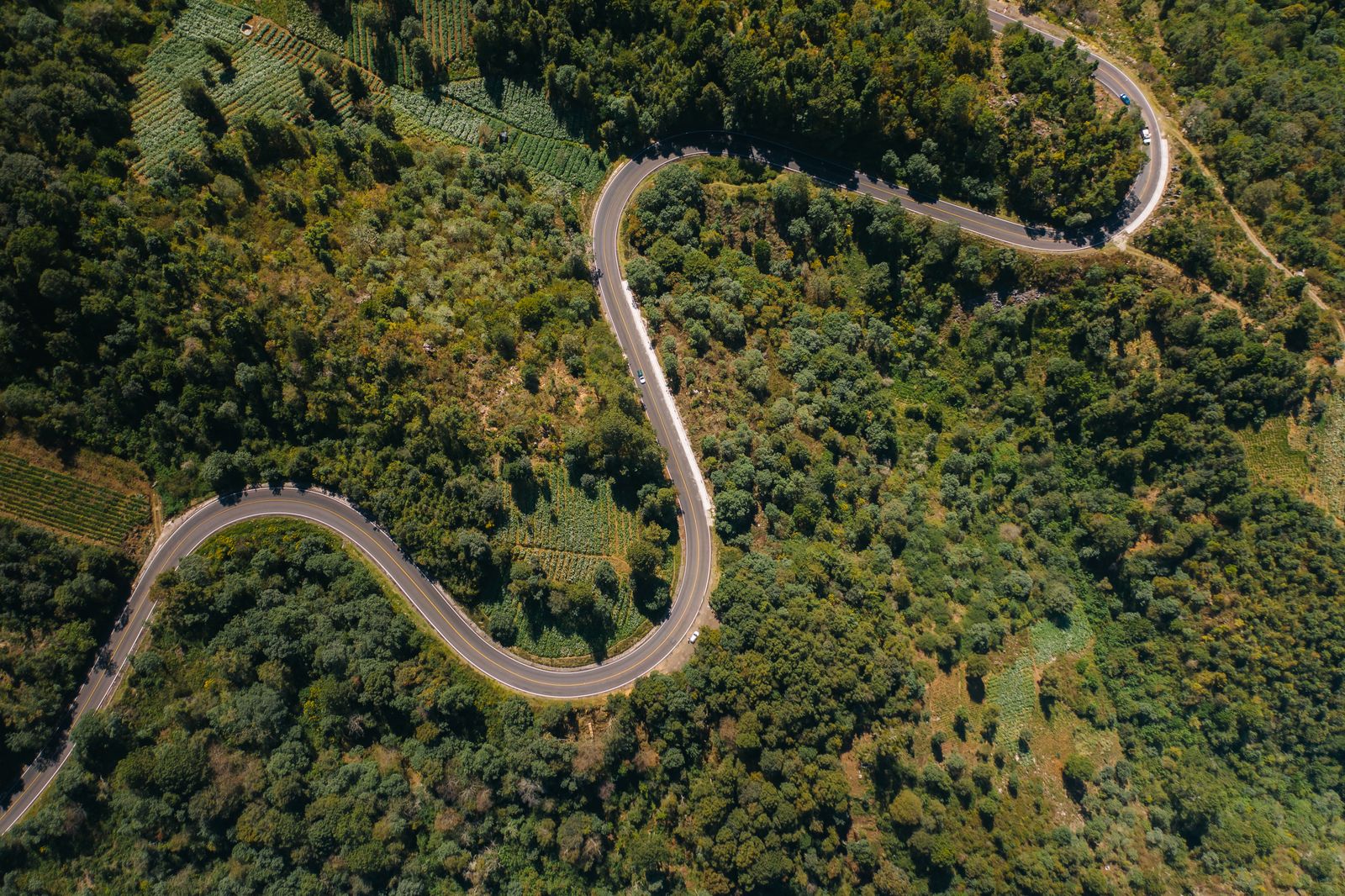 Aerial view of a highway winding through forested mountains, the kind of road a Chiapas road trip follows from the highlands down toward the jungle Aerial view of a highway winding through forested mountains, the kind of road a Chiapas road trip follows from the highlands down toward the jungle