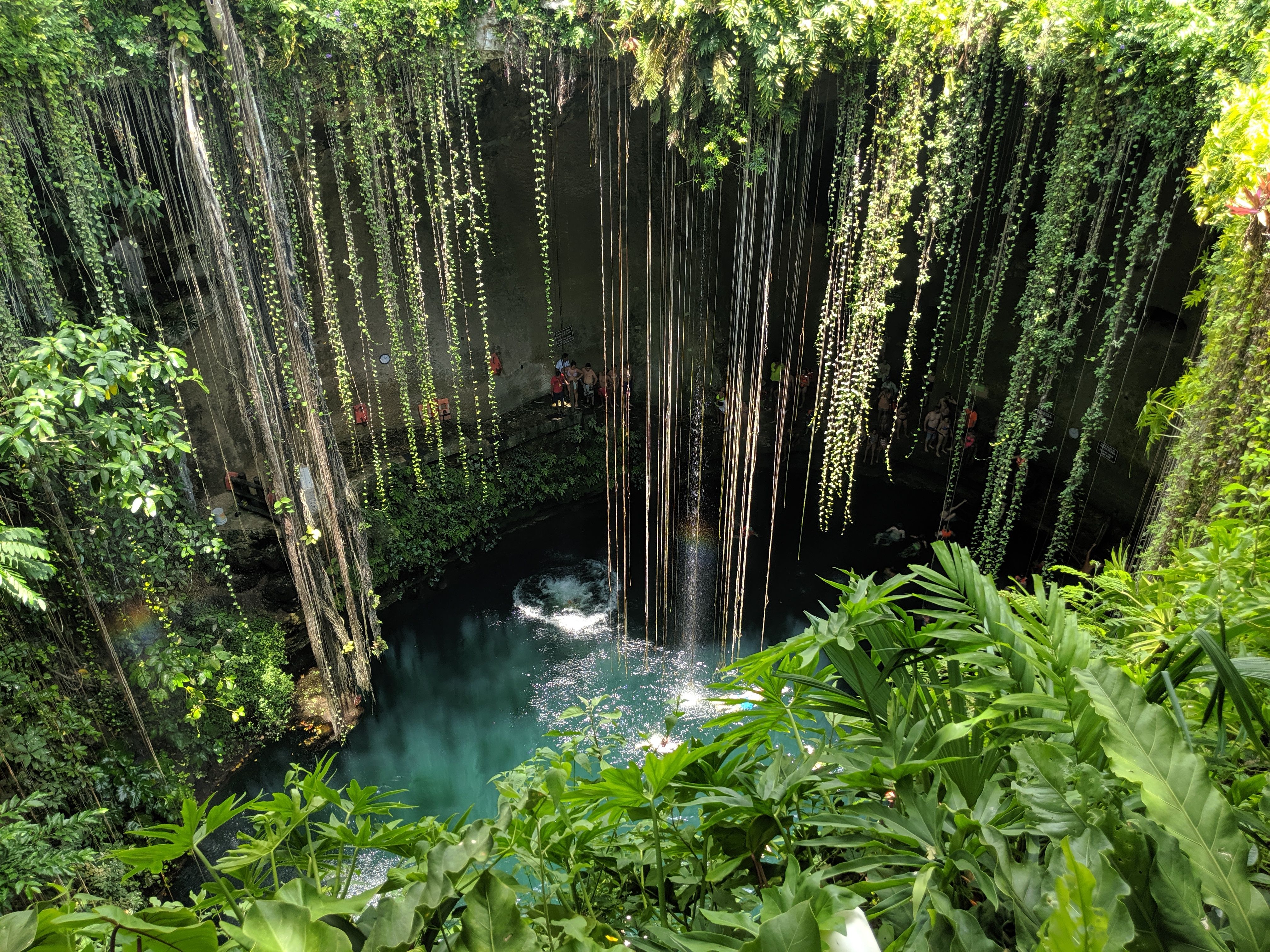 The circular opening of Cenote Ik Kil seen from the wooden viewing platform above