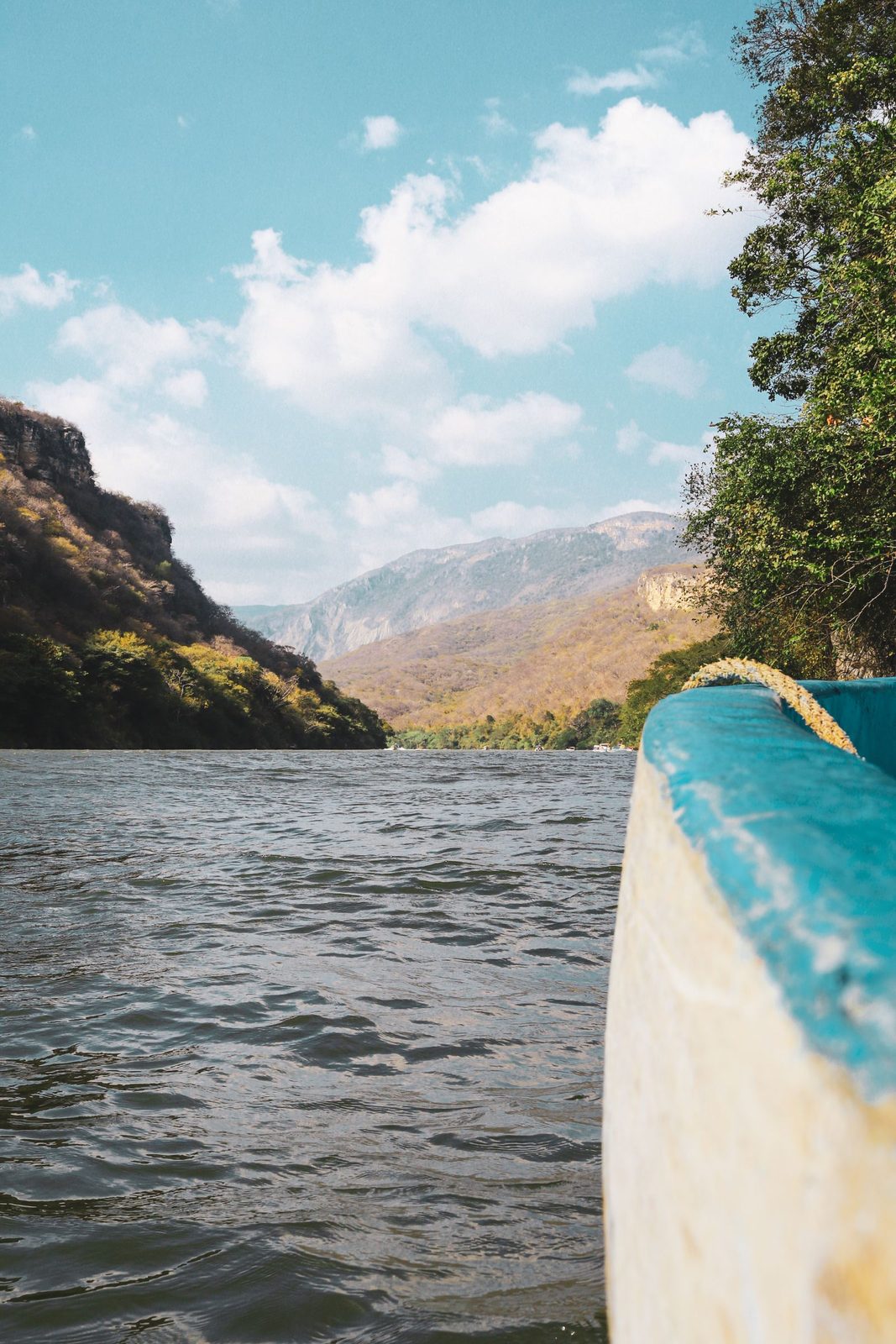 Looking up from a lancha at the near-vertical jungle-streaked cliffs of Sumidero Canyon