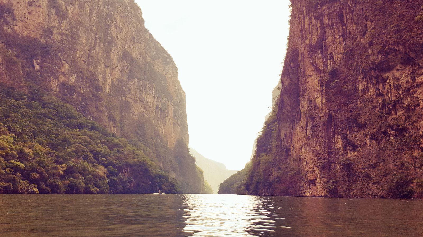 A small passenger lancha dwarfed by the sheer limestone walls of Sumidero Canyon rising from the green Grijalva River