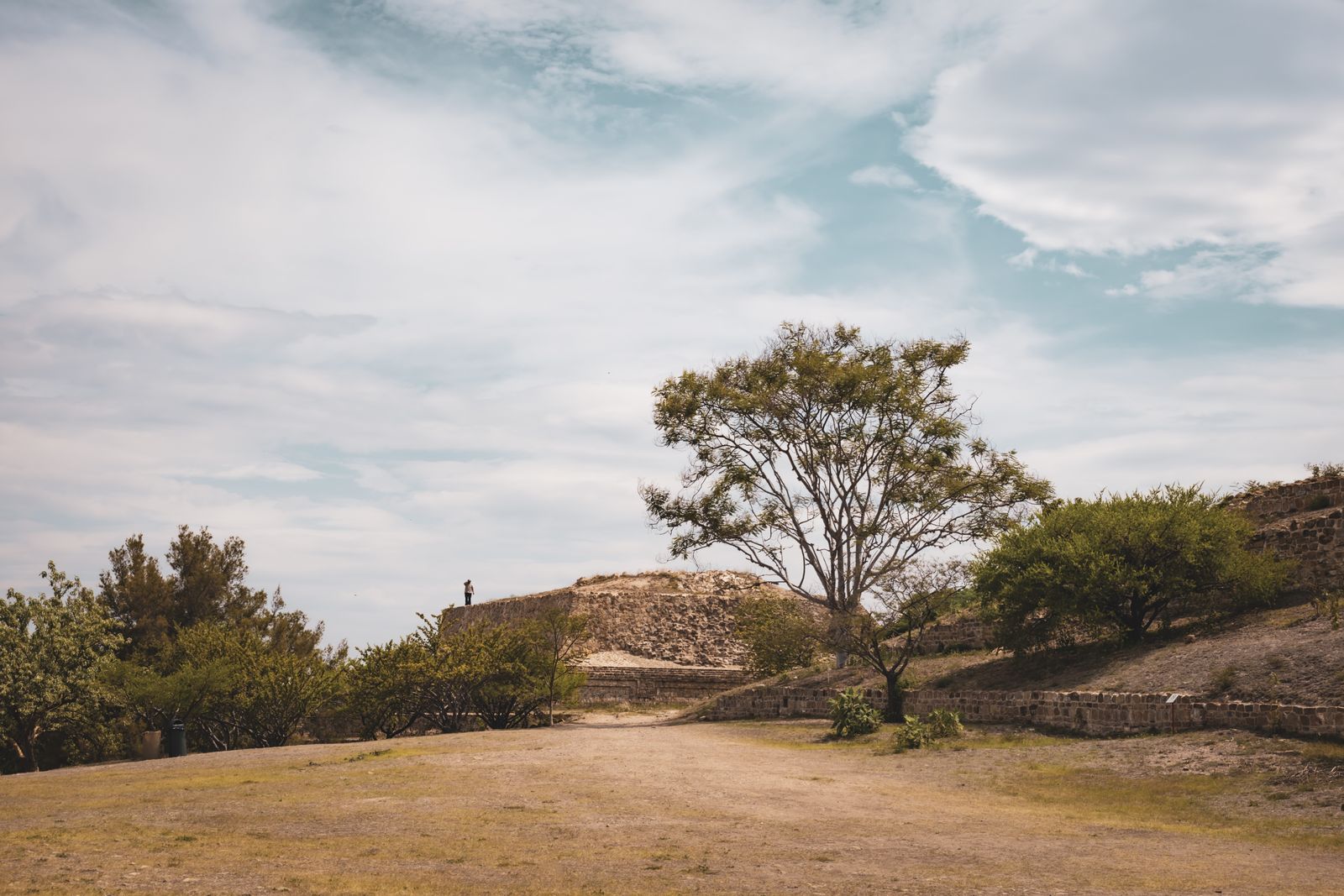 Wide view of the Monte Albán archaeological site in Oaxaca, with ruins scattered across the hilltop plateau
