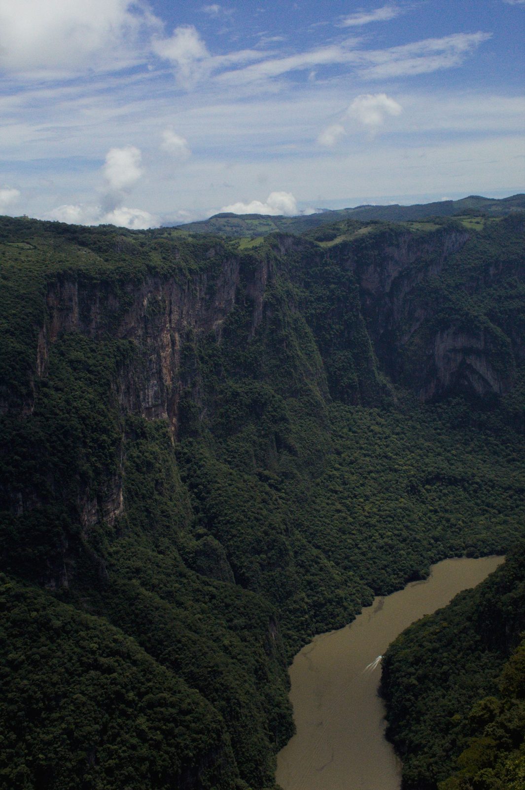 Sumidero Canyon from a clifftop viewpoint, the Grijalva River winding between sheer forested walls far below